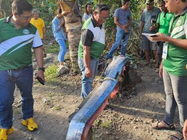 Raro peixe-remo de 3,8 m  encontrado nas Filipinas: prenúncio de desastre natural?