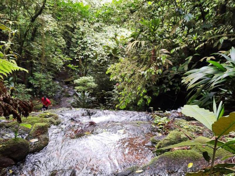 Trilha da Cachoeira Escondida será reaberta em Paranapiacaba